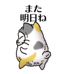 猫頭巾01（三毛）（個別スタンプ：40）