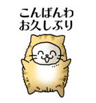 猫頭巾01（茶白）（個別スタンプ：3）