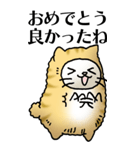 猫頭巾01（茶白）（個別スタンプ：5）