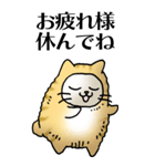 猫頭巾01（茶白）（個別スタンプ：7）