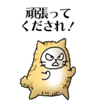 猫頭巾01（茶白）（個別スタンプ：13）