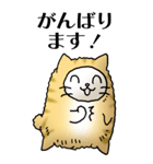 猫頭巾01（茶白）（個別スタンプ：14）