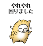 猫頭巾01（茶白）（個別スタンプ：15）