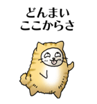 猫頭巾01（茶白）（個別スタンプ：16）