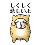 猫頭巾01（茶白）（個別スタンプ：17）