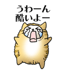 猫頭巾01（茶白）（個別スタンプ：18）