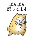 猫頭巾01（茶白）（個別スタンプ：19）