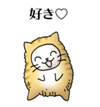 猫頭巾01（茶白）（個別スタンプ：21）