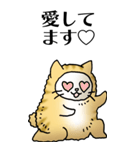 猫頭巾01（茶白）（個別スタンプ：23）