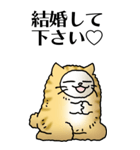 猫頭巾01（茶白）（個別スタンプ：24）