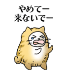 猫頭巾01（茶白）（個別スタンプ：26）