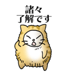 猫頭巾01（茶白）（個別スタンプ：29）