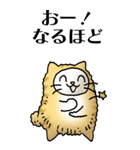 猫頭巾01（茶白）（個別スタンプ：31）