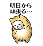 猫頭巾01（茶白）（個別スタンプ：32）