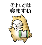 猫頭巾01（茶白）（個別スタンプ：37）