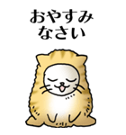 猫頭巾01（茶白）（個別スタンプ：38）