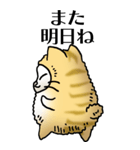 猫頭巾01（茶白）（個別スタンプ：40）
