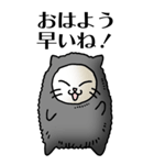 猫頭巾01（黒猫）（個別スタンプ：1）