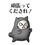 猫頭巾01（黒猫）（個別スタンプ：13）