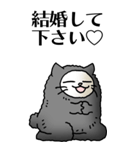 猫頭巾01（黒猫）（個別スタンプ：24）