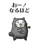 猫頭巾01（黒猫）（個別スタンプ：31）