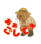 信州 おじさん犬2（個別スタンプ：27）