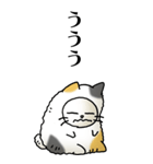 猫頭巾02（三毛）（個別スタンプ：1）
