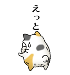 猫頭巾02（三毛）（個別スタンプ：3）