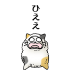 猫頭巾02（三毛）（個別スタンプ：7）