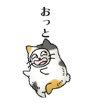猫頭巾02（三毛）（個別スタンプ：8）