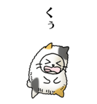 猫頭巾02（三毛）（個別スタンプ：9）