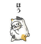 猫頭巾02（三毛）（個別スタンプ：10）