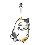 猫頭巾02（三毛）（個別スタンプ：14）
