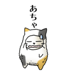 猫頭巾02（三毛）（個別スタンプ：15）