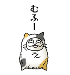 猫頭巾02（三毛）（個別スタンプ：16）