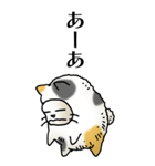 猫頭巾02（三毛）（個別スタンプ：18）