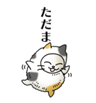 猫頭巾02（三毛）（個別スタンプ：20）