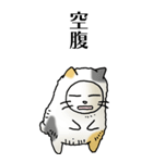 猫頭巾02（三毛）（個別スタンプ：21）