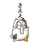 猫頭巾02（三毛）（個別スタンプ：22）