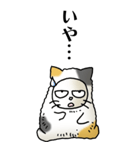 猫頭巾02（三毛）（個別スタンプ：23）