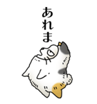 猫頭巾02（三毛）（個別スタンプ：24）