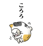 猫頭巾02（三毛）（個別スタンプ：25）