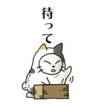 猫頭巾02（三毛）（個別スタンプ：28）