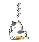 猫頭巾02（三毛）（個別スタンプ：31）
