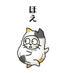 猫頭巾02（三毛）（個別スタンプ：32）
