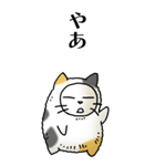 猫頭巾02（三毛）（個別スタンプ：34）