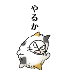 猫頭巾02（三毛）（個別スタンプ：36）