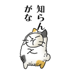 猫頭巾02（三毛）（個別スタンプ：37）