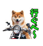 山形弁☆柴犬（個別スタンプ：10）