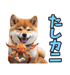 山形弁☆柴犬（個別スタンプ：18）
